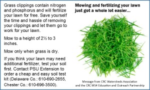 Fertilize Your Lawn the Easy Way short